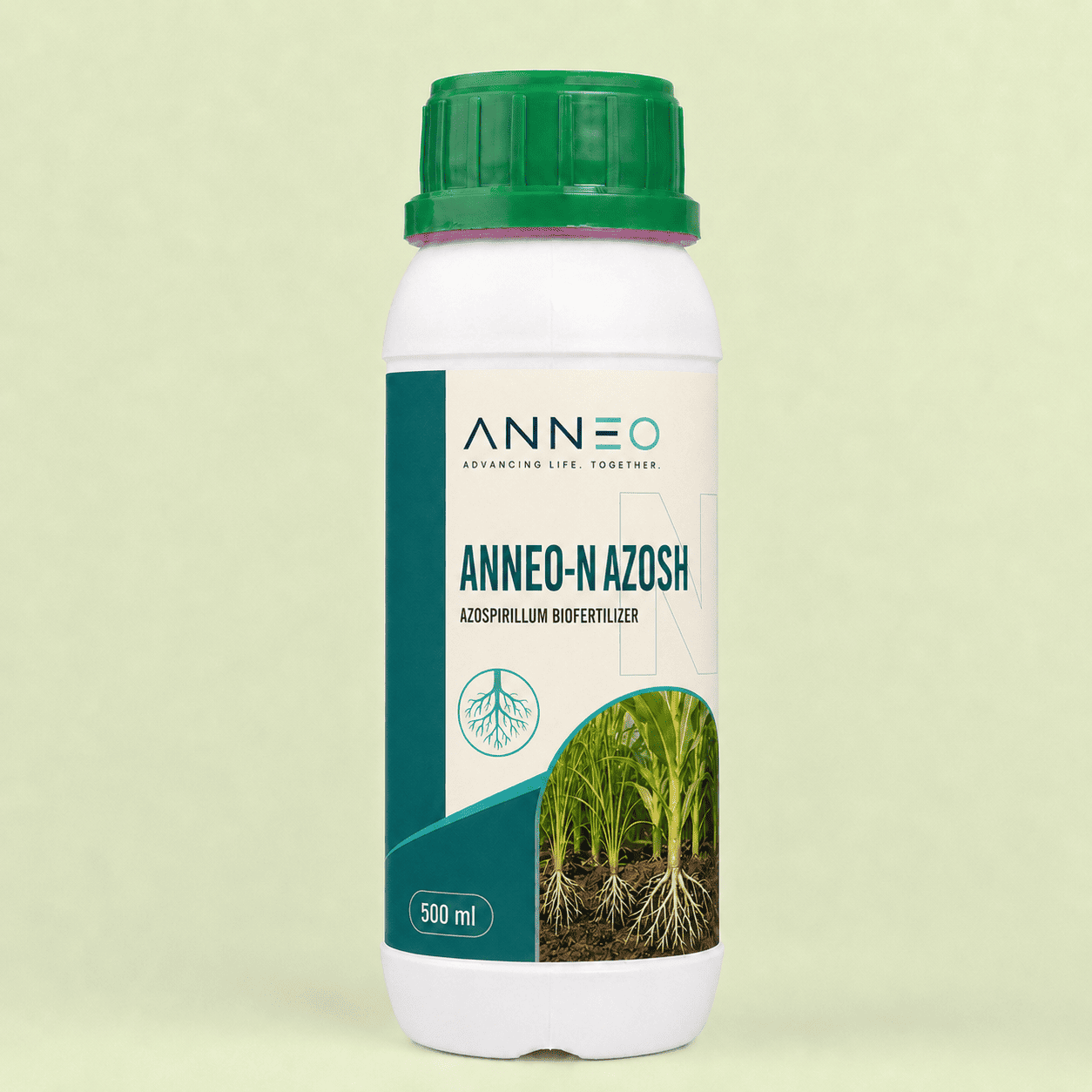 Anneo N Azosh